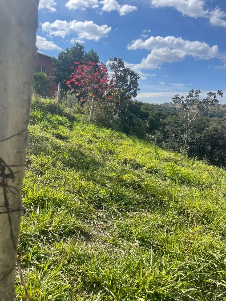 Chácara plana ótima localização  - Foto 4