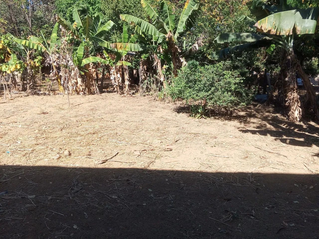 LOTE. - Foto 5