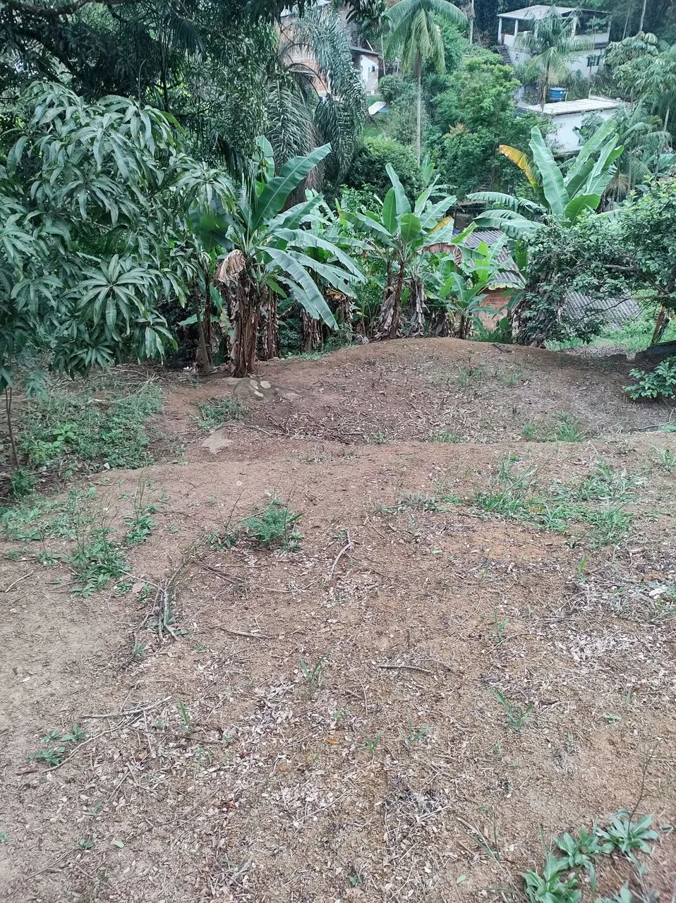 Foto - Itatiaia - 