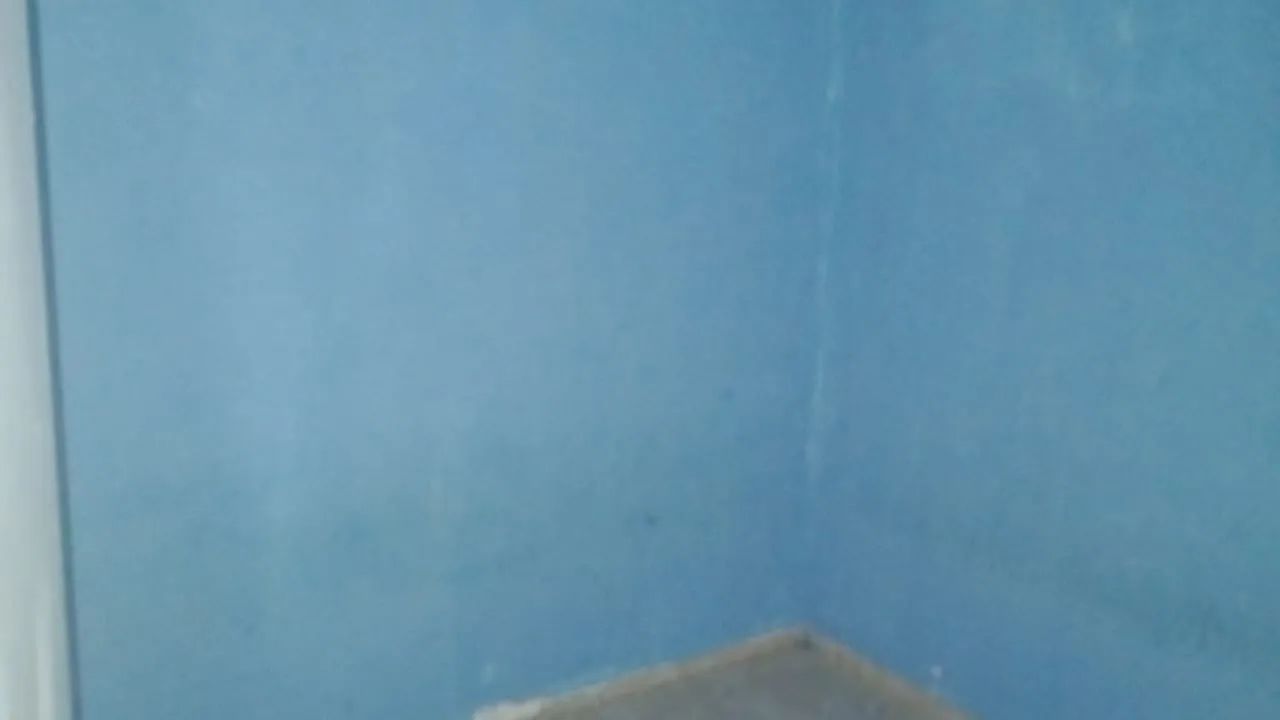 CASA PARA ALUGAR  - Foto 3