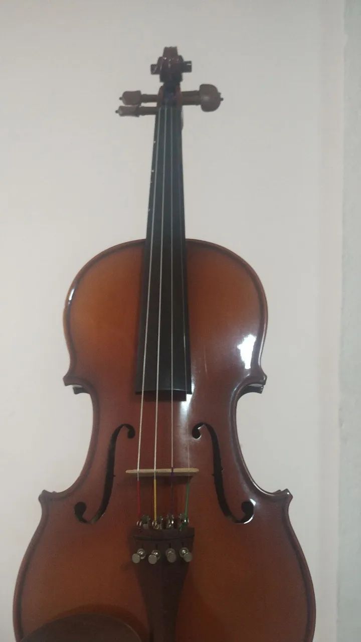 Violino Eagle VK441 4/4 - Foto 5
