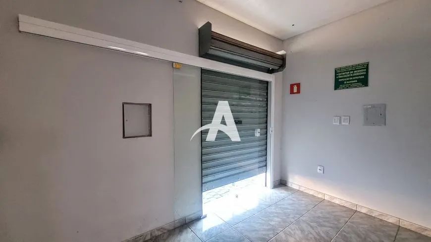 Aluguel Comodo PRESIDENTE ROOSEVELT - Foto 4