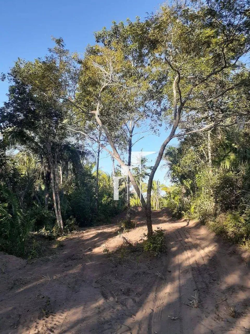 TERRENO À VENDA  NOVA OLINDA | MARANHÃO - Foto 2