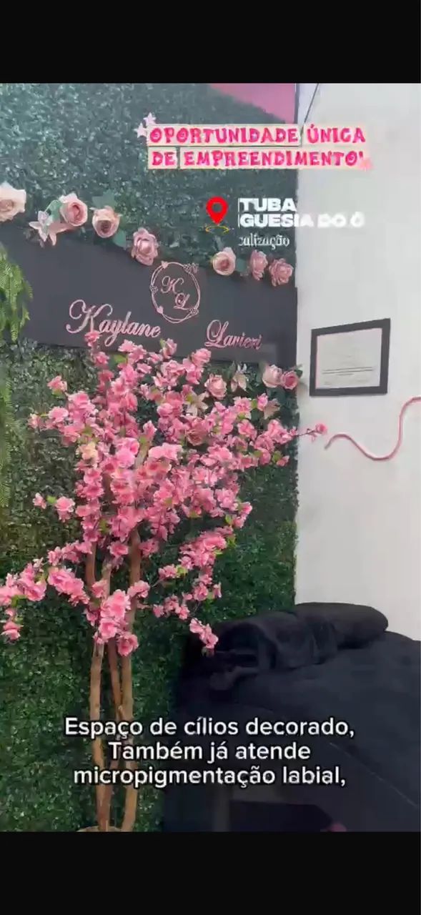 Oportunidade: Espaço de Estética e Bronzeamento Completo à Venda - Foto 2