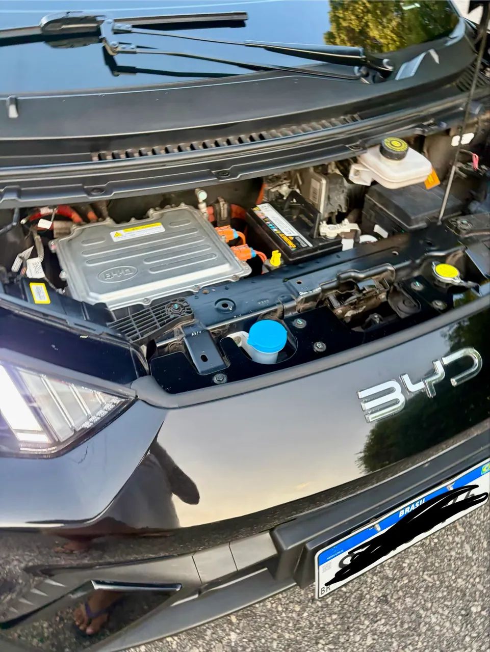BYD Dolphin Mini (Elétrico) 2025 - Foto 5