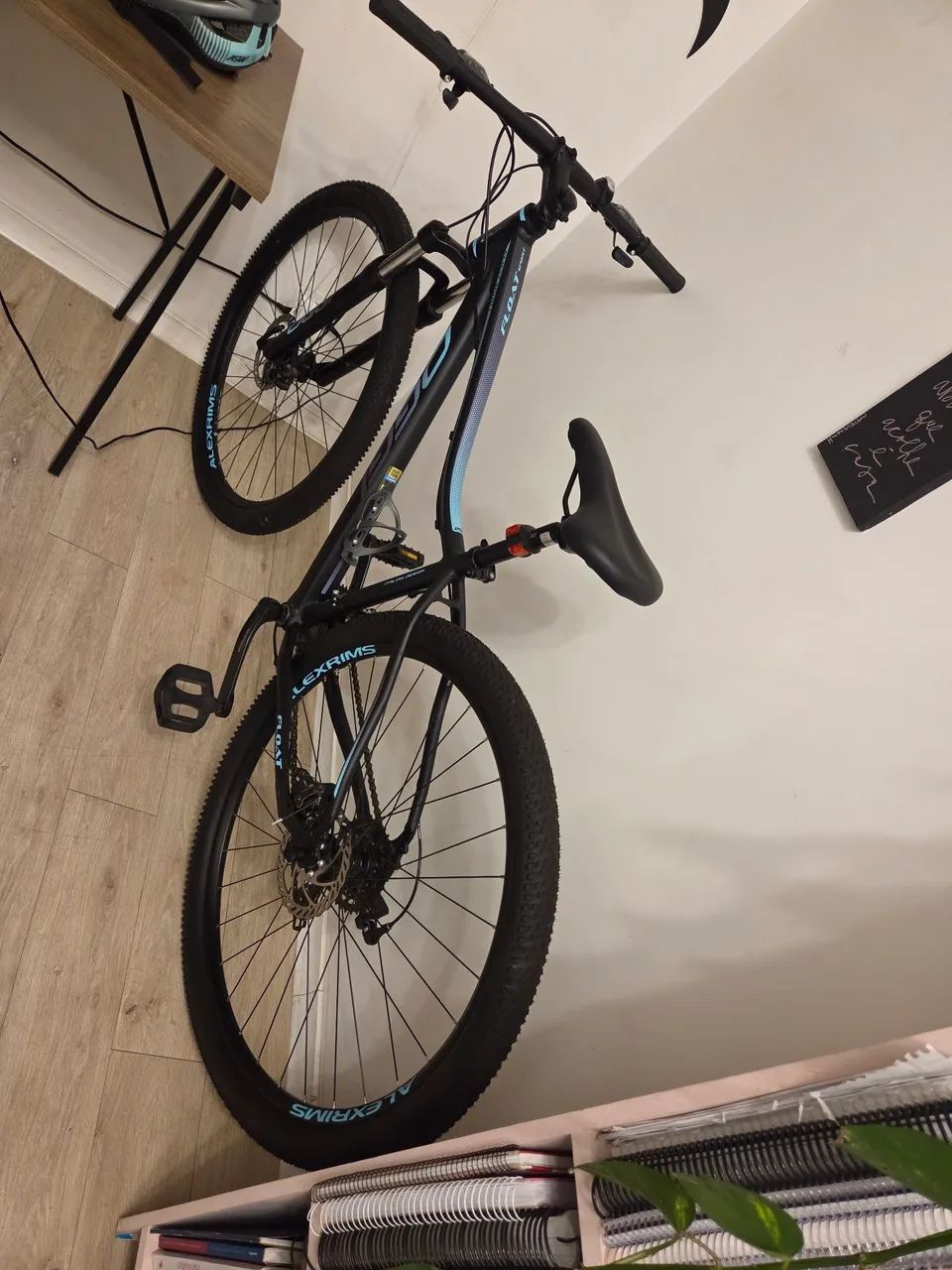 Bicicleta oggi float sport