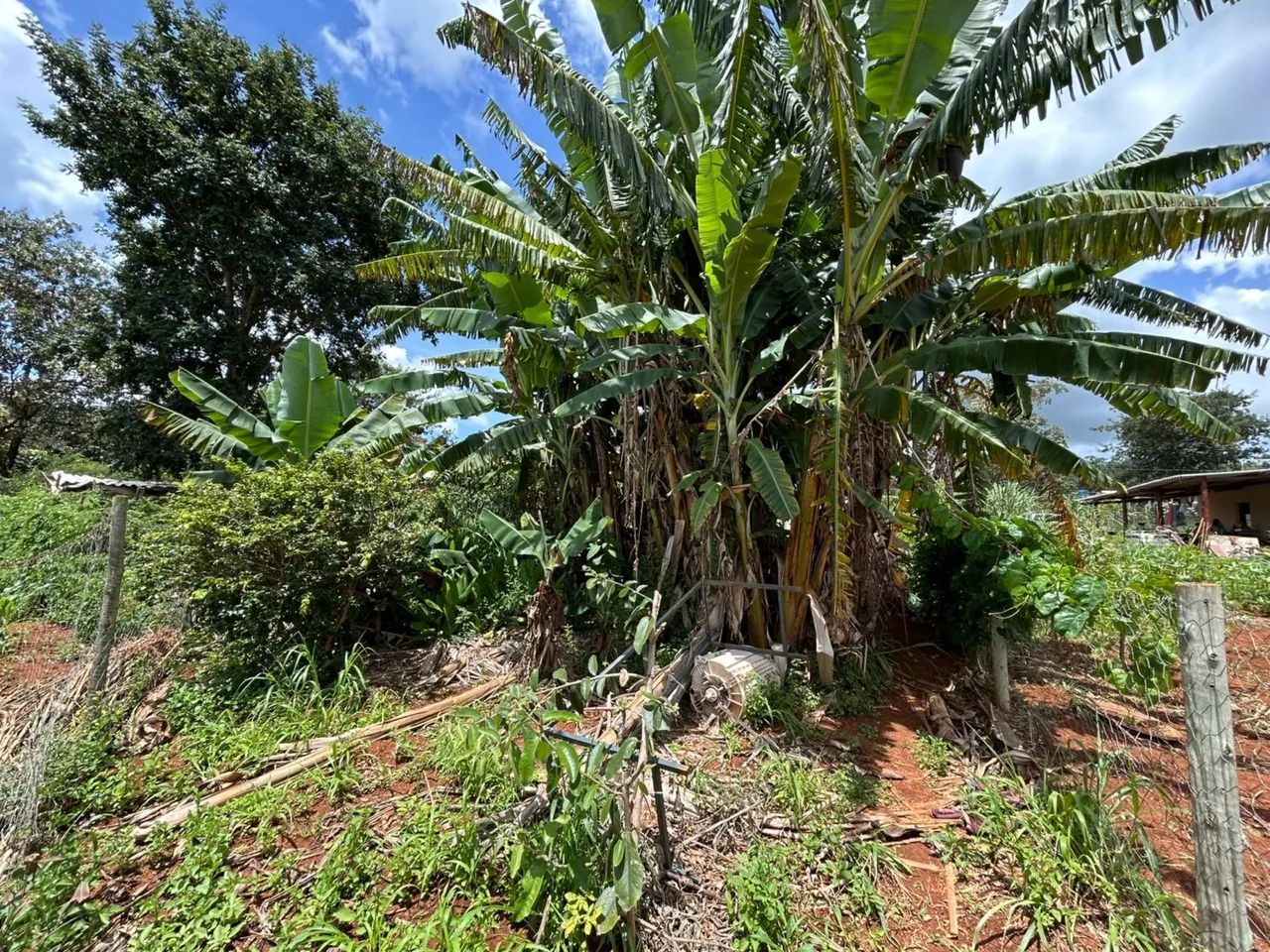 Chácara 2.000m2 com Casa 3/4 em Bonfinópolis-GO - Foto 5