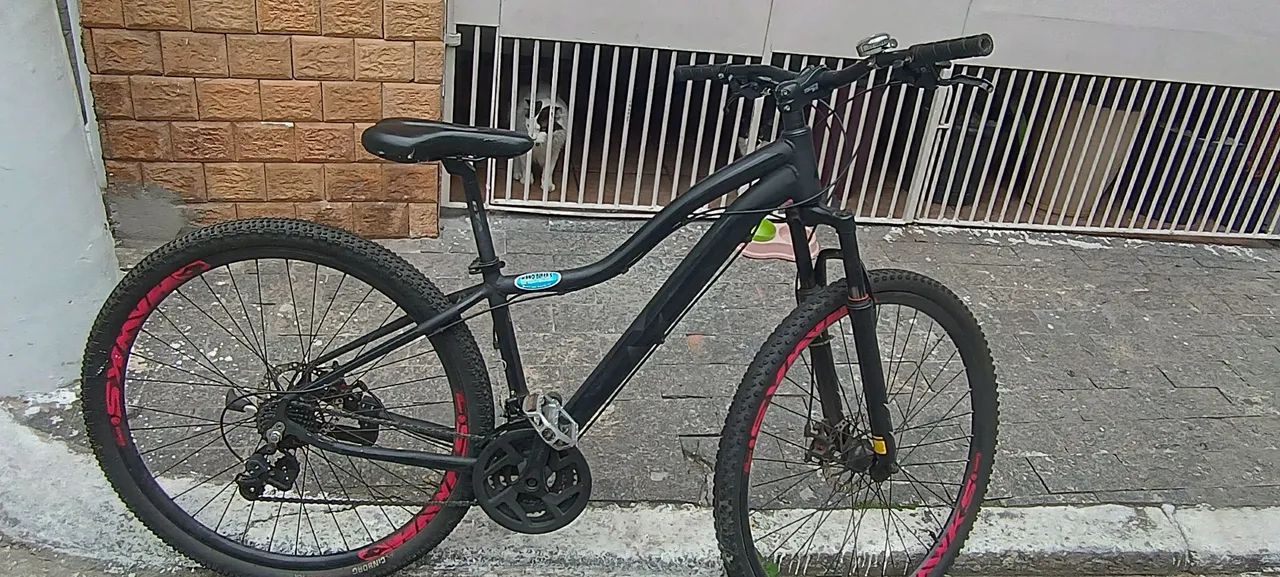 Bike aro 29