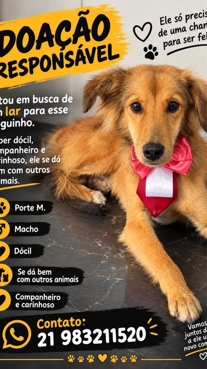 Adoção responsável 