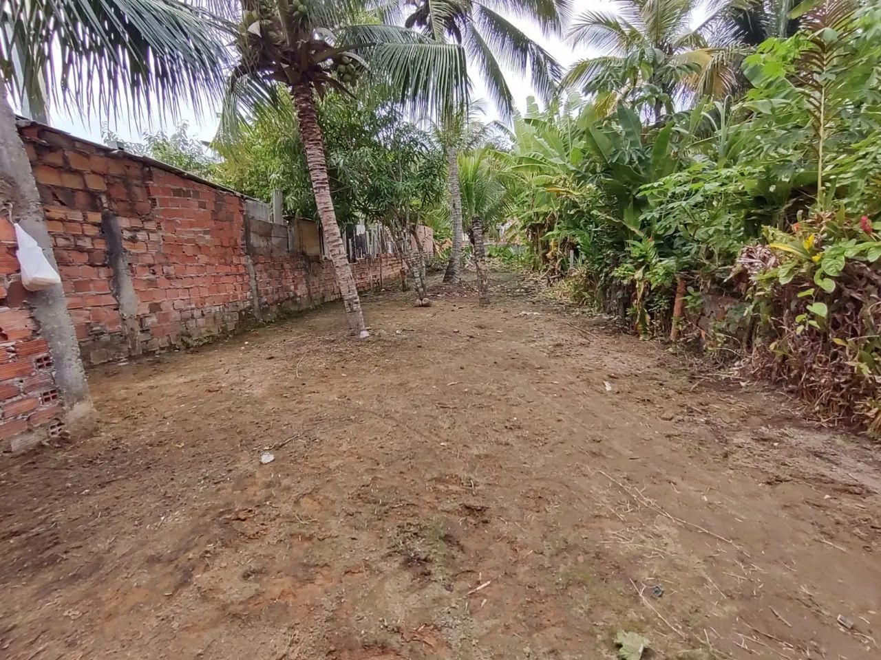 Terreno/Casa - Foto 2