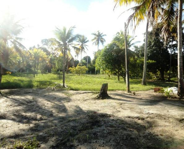 Terreno/Lote/Loteamento 13.000m2 em Tejucopapo, Troco em Automóvel, Excelente Localização - Foto 2