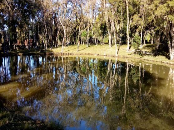 Sítio 12,0 hectares - samambaia - são francisco de paula - rs