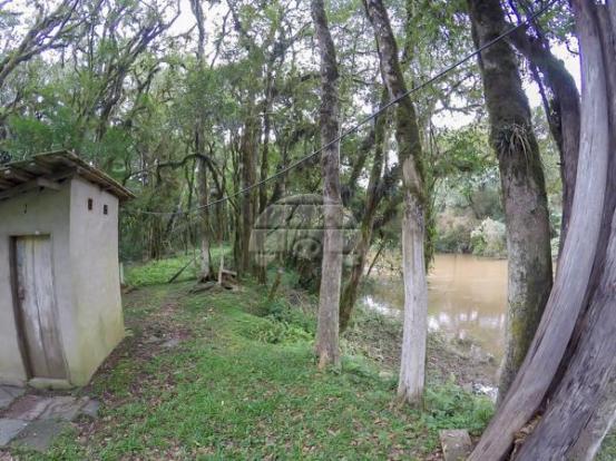 Chácara à venda em Picassinho, Piên cod:136674 - Foto 6