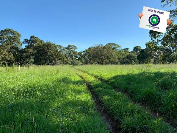 Fazenda região de rosário oeste - Foto 6