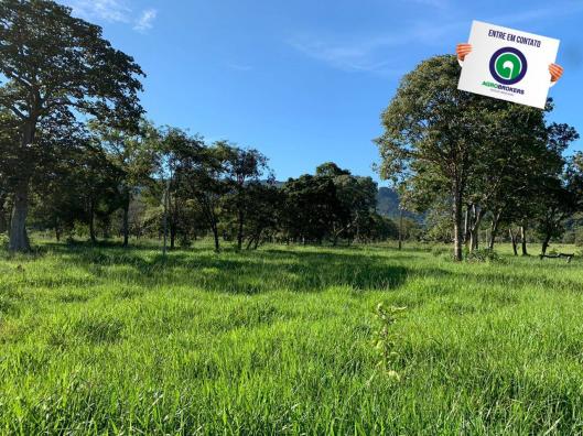 Fazenda região de rosário oeste - Foto 12