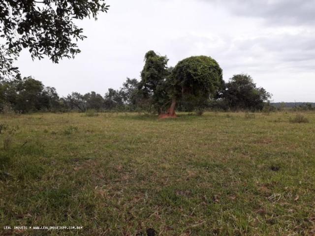 Chácara para venda em martinópolis, km 5 - Foto 12