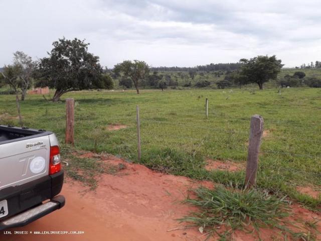 Chácara para venda em martinópolis, km 5 - Foto 5