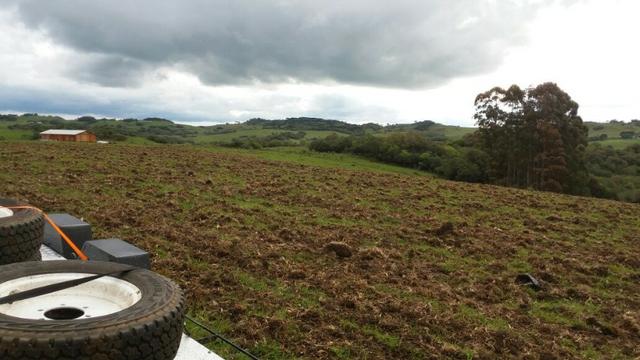 Área especial para sitio ou hortifrutigranjeiros com 12.5 HA - Foto 8