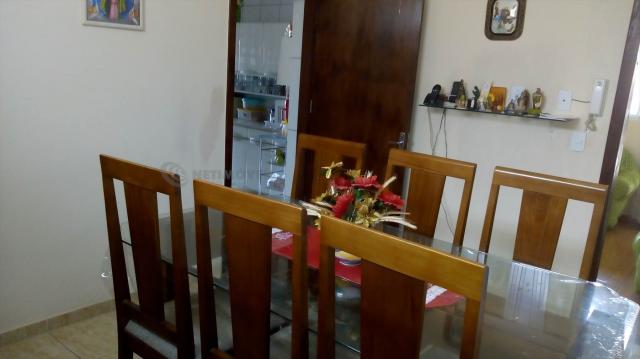 Casa à venda com 3 dormitórios em Pindorama, Belo horizonte cod:569036 - Foto 4