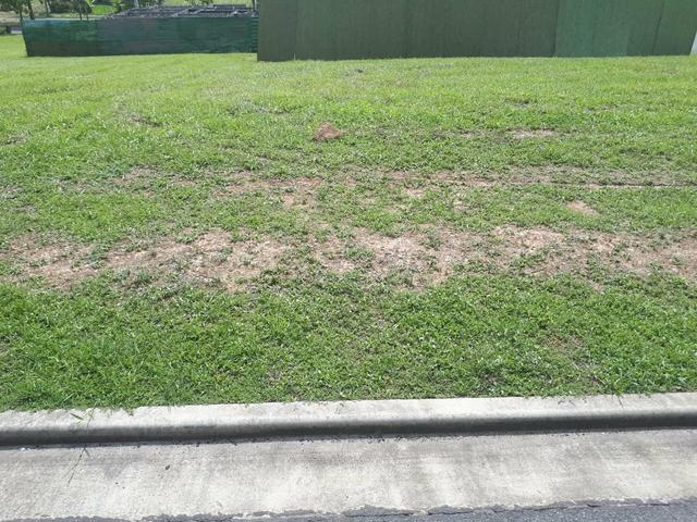 Alphaville Litoral Norte 1, Escriturado, sem débitos