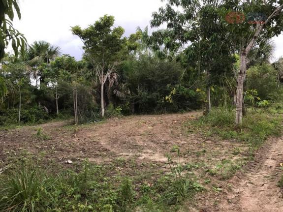 Terreno rural à venda, zona rural, barreirinhas - te0144. - Foto 4
