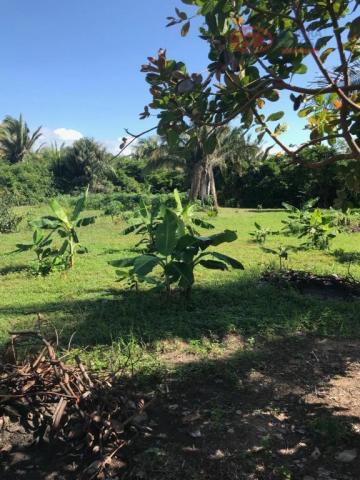 Chácara à venda, 38 m² por R$ 1.100.000 - Iguaíba - Paço do Lumiar/Maranhão - Foto 5