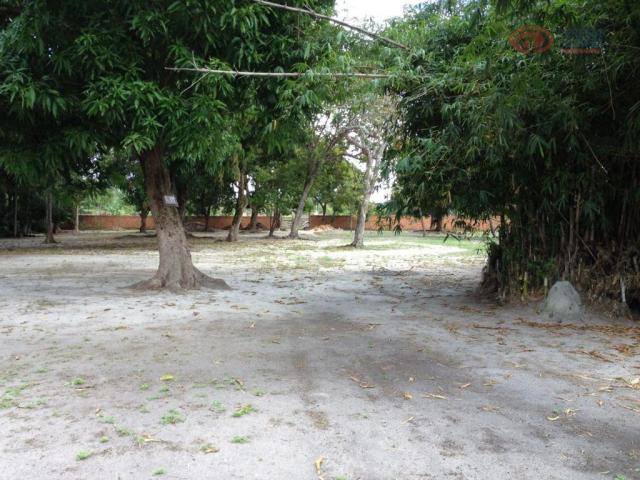 Terreno rural à venda, angelius, paço do lumiar - te0161. - Foto 6
