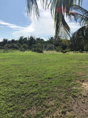 Chácara à venda, 38 m² por R$ 1.100.000 - Iguaíba - Paço do Lumiar/Maranhão - Foto 16