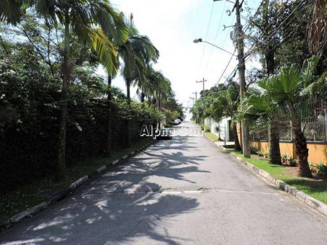 Terreno maravilhoso, excelente localização, venda - vila das laranjeiras - carapicuíba/sp - Foto 8
