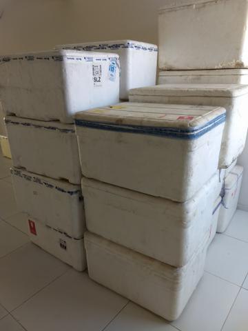 Caixas de Isopor 100/120 lts R$: 15,00 - Foto 3