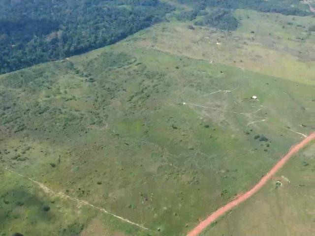 Vendo Fazenda em São João da baliza - Foto 5