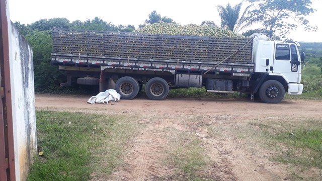 Fazenda/Sítio/Chácara para venda 30 ta = 130.680 m2  na zona rural - Rio Real - BA