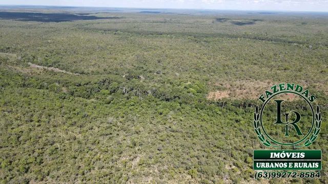 Fazenda  125 Alqueires Bruta Tocantins Dupla Aptidão - Foto 5