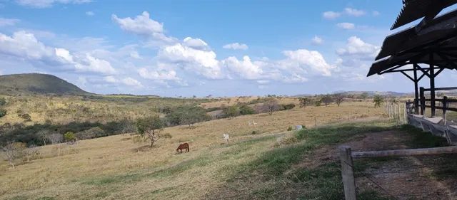 Fazenda de 220 Hectares em Leandro Ferreira - Foto 18
