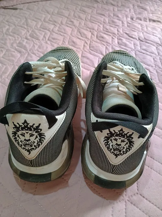 Tênis Lebron original tamanho 46