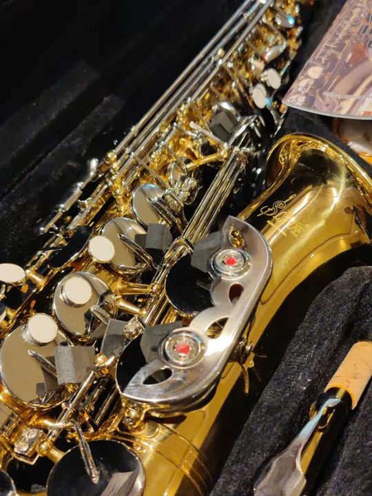 R$ 2.500,00 Sax Alto Saxofone Alto Novo Zero no Plástico Extraordinário - Foto 3