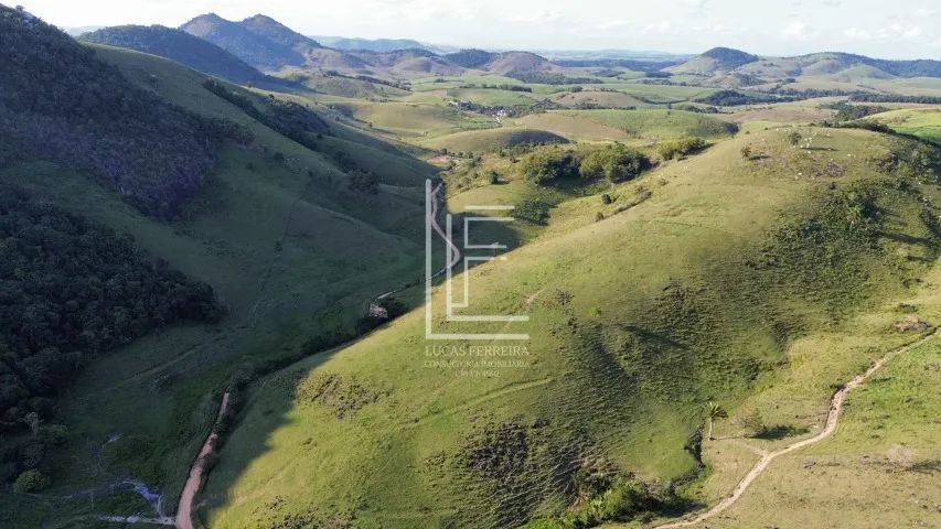 Belíssima fazenda de 153 hectares em São Luís do Quitunde-AL - Fazenda Vale Verde - Foto 5