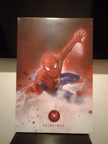 Quadro Homem Aranha infantil