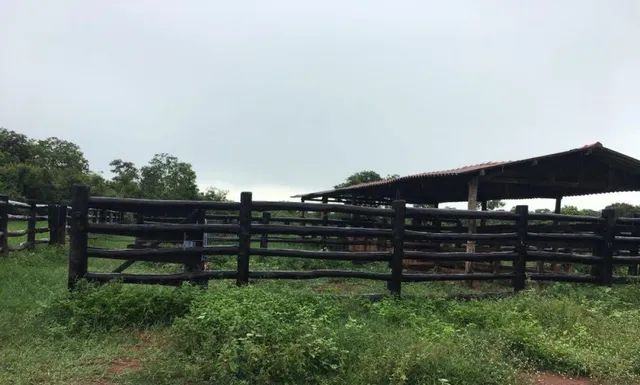 Fazenda de 610 alq em São João d' Aliança - GO - Foto 3