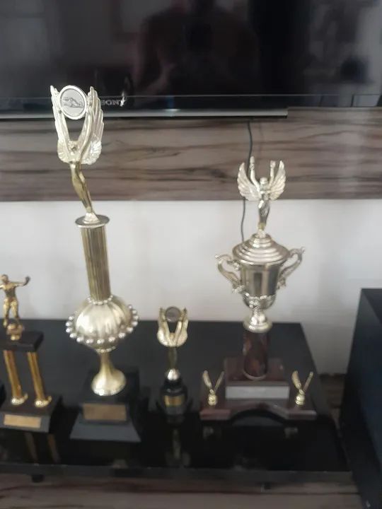 Lote de peças para decorar envio para todo o Brasil  - Foto 5