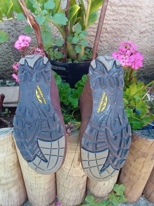 Bota Bull Terrier  - Foto 4