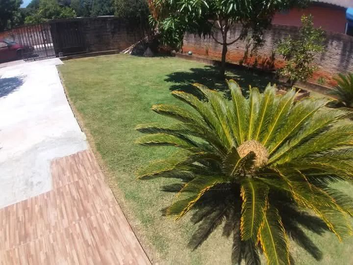 Jardineiro disponível !!!! - Foto 2