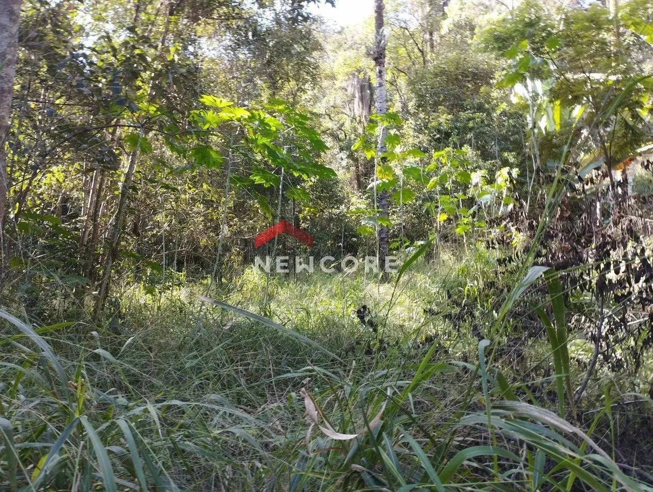 Lote em condomínio em Alameda dos Flamboyants - Condomínio Nossa Fazenda - Esmeraldas/MG - Foto 6