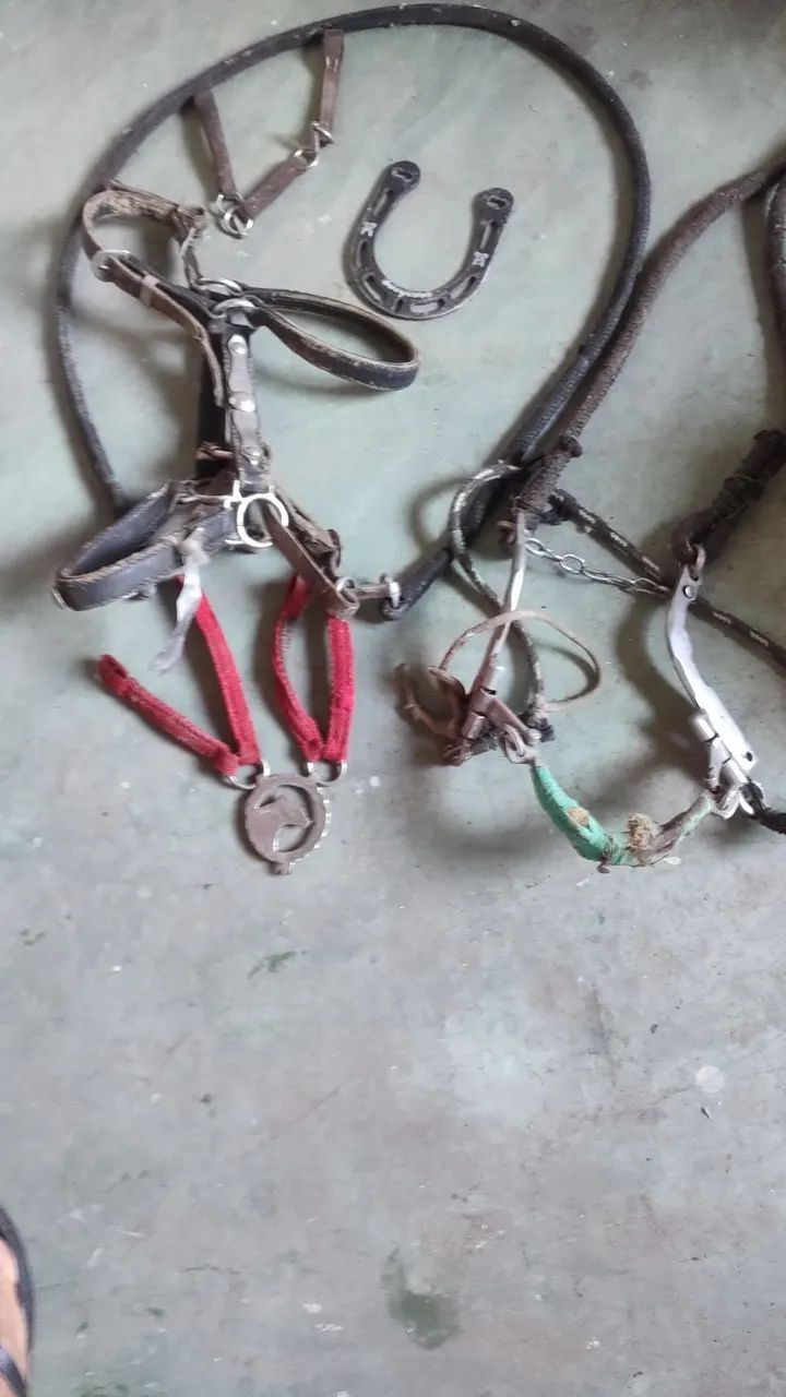 Vendo cabresto de cavalo - Foto 4