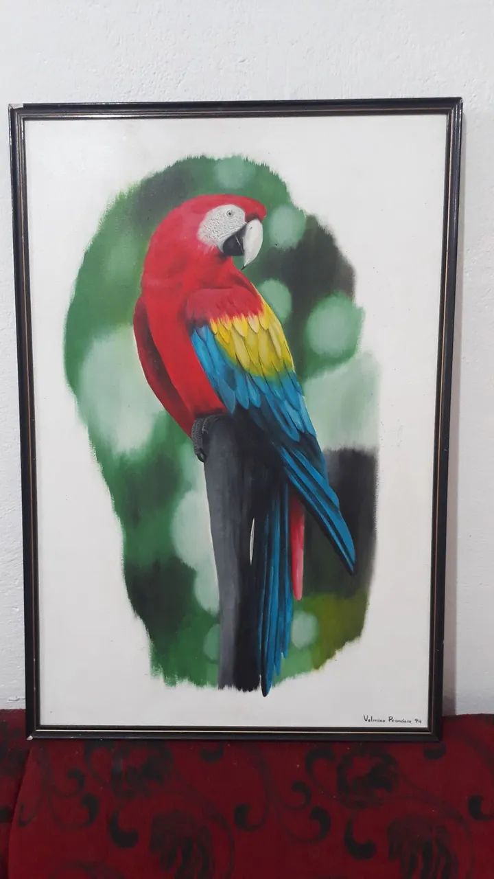 Quadro Arara Vermelha