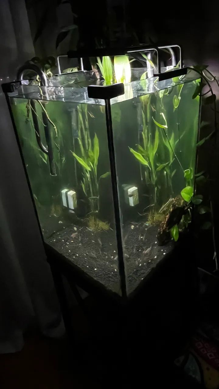 Aquário 96 litros com suporte de ferro  - Foto 3