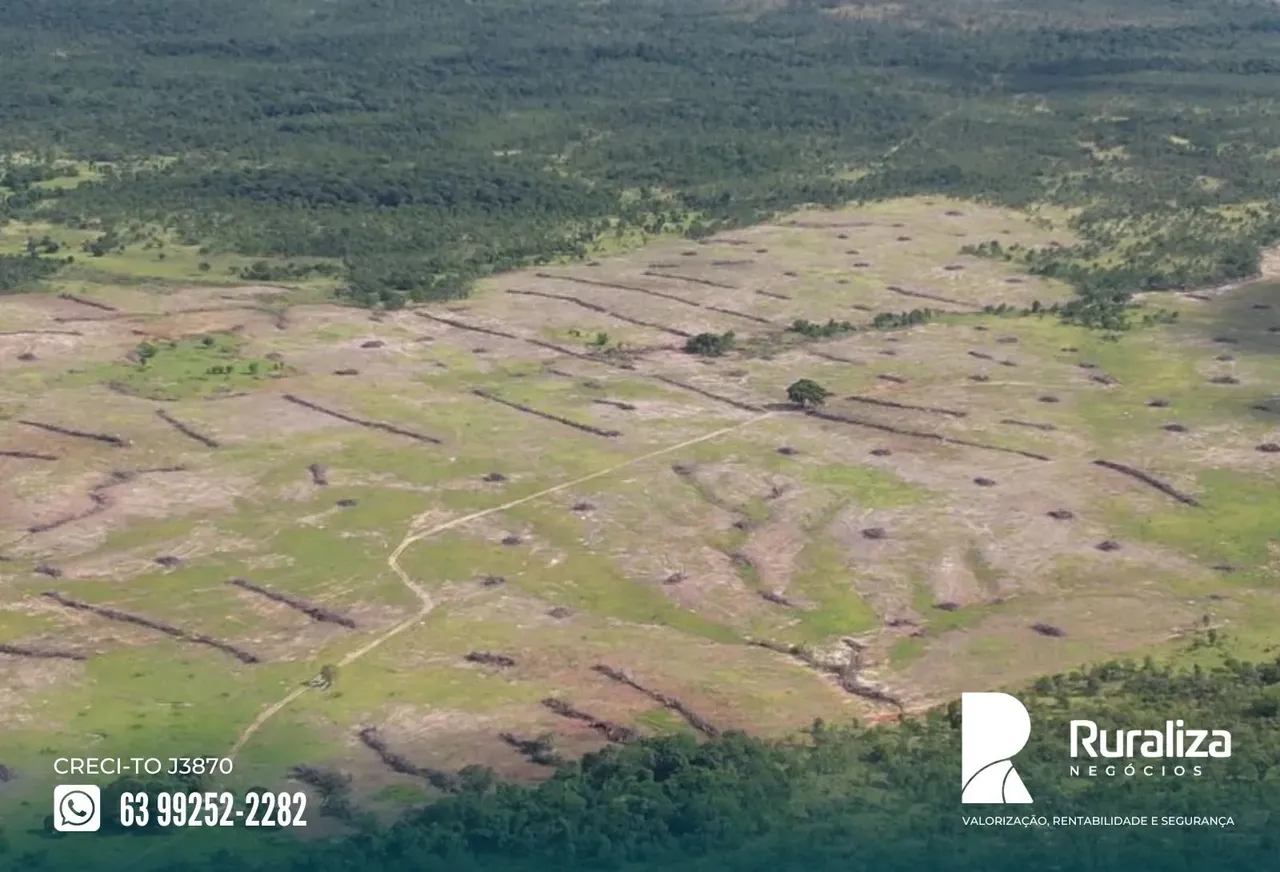 Região de Taipas - TO. Argila de 18 a 26% 6.500 ha para arrendamento agrícola com 6 anos d