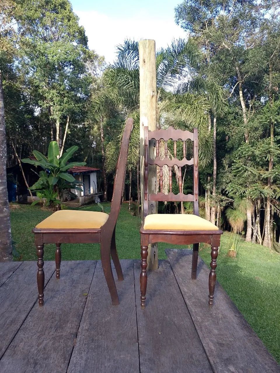 Cadeiras de Jantar Clássicas com Estofado Amarelo - Foto 3