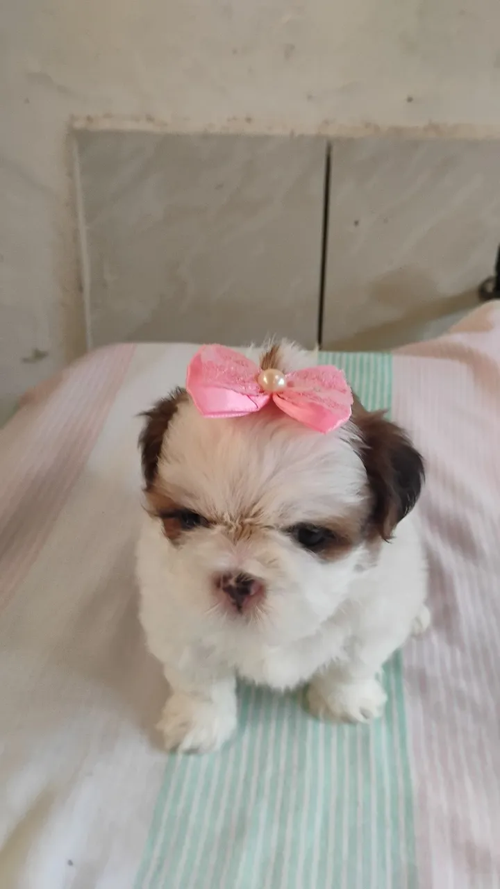 Presente para o dia dos namorados