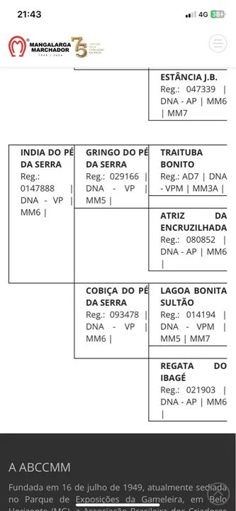 Mangalarga Marchador: original do Pé da Serra